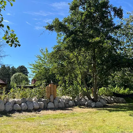 Kleine Robbe * Böhl